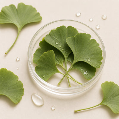 Ginkgo leaf extract
